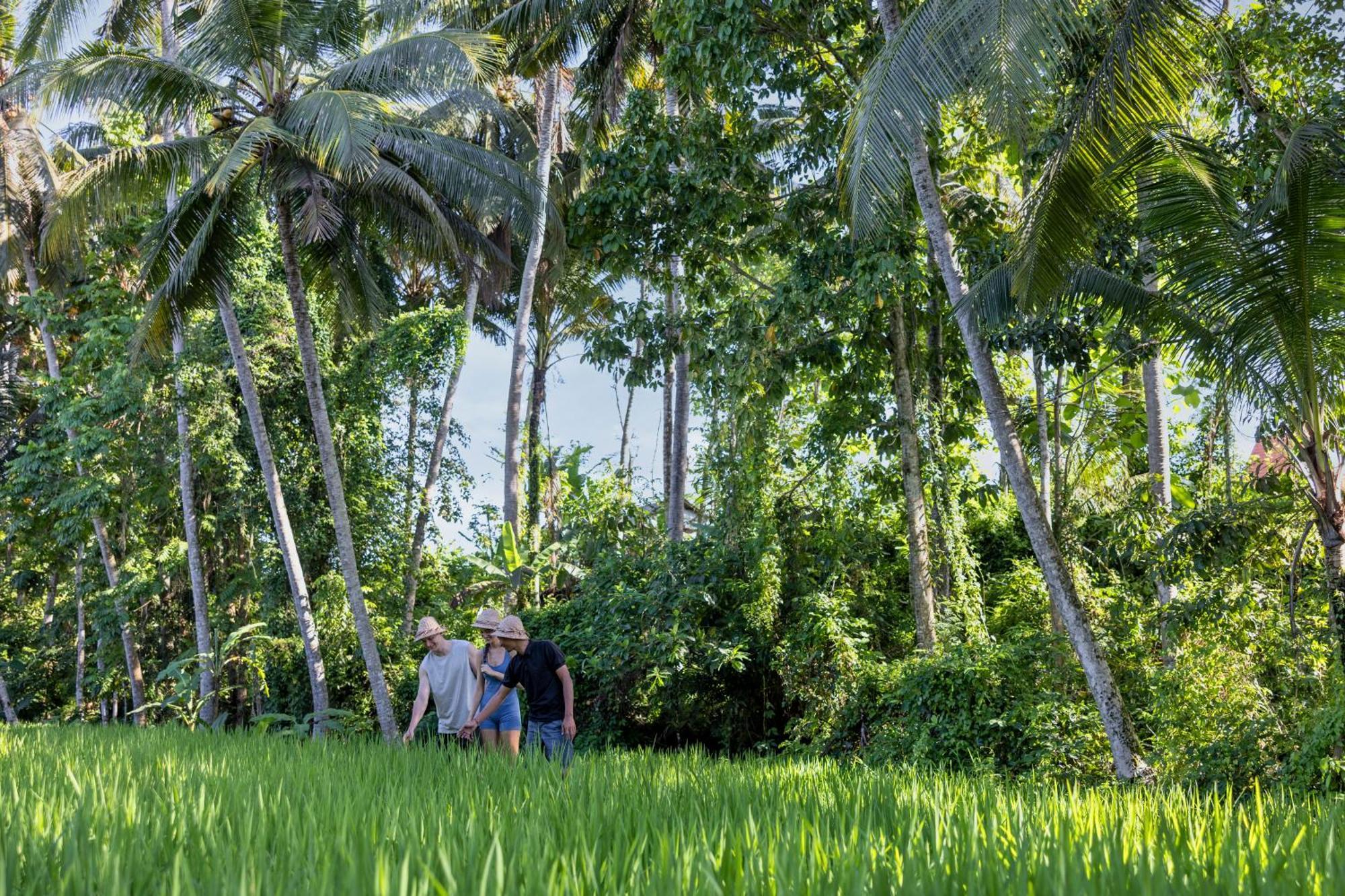 Kanhara Villas Ubud By Pramana Villas Екстериор снимка